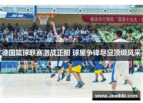 德国篮球联赛激战正酣 球星争锋尽显顶级风采