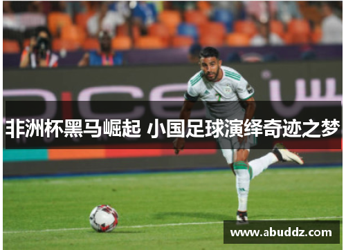 非洲杯黑马崛起 小国足球演绎奇迹之梦